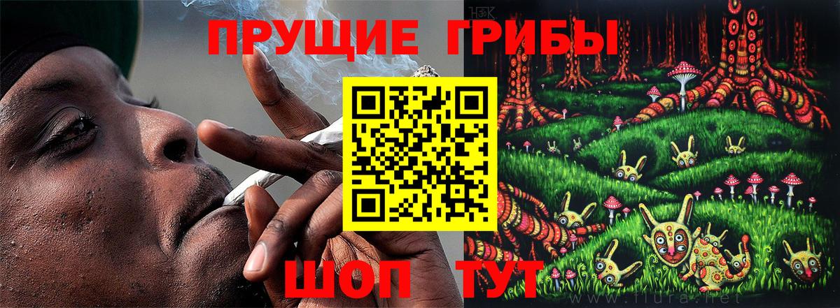 Псилоцибиновые грибы MAGIC MUSHROOMS  Галлюциногенные грибы мухоморы  Вход с VPN  где можно купить   Кимры 