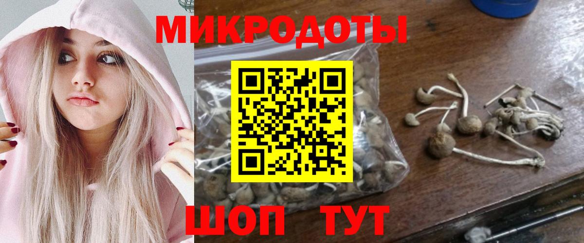 Галлюциногенные грибы MAGIC MUSHROOMS Кимры